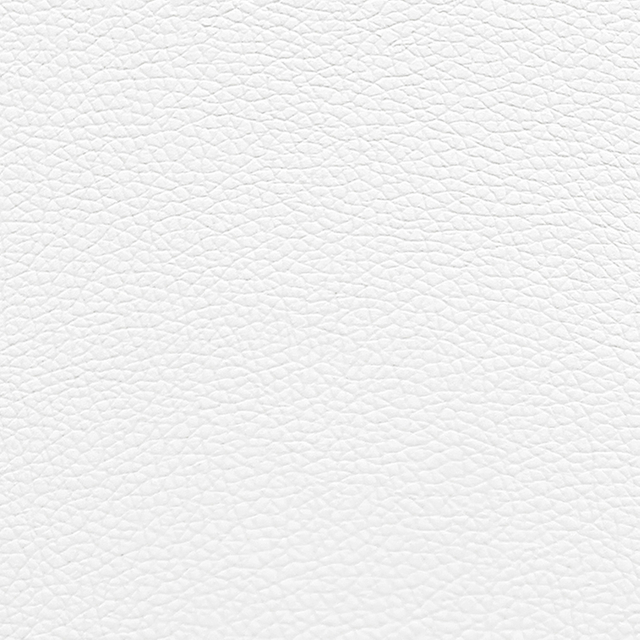 217-02-08 White