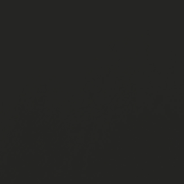 241-35 Dark Gray