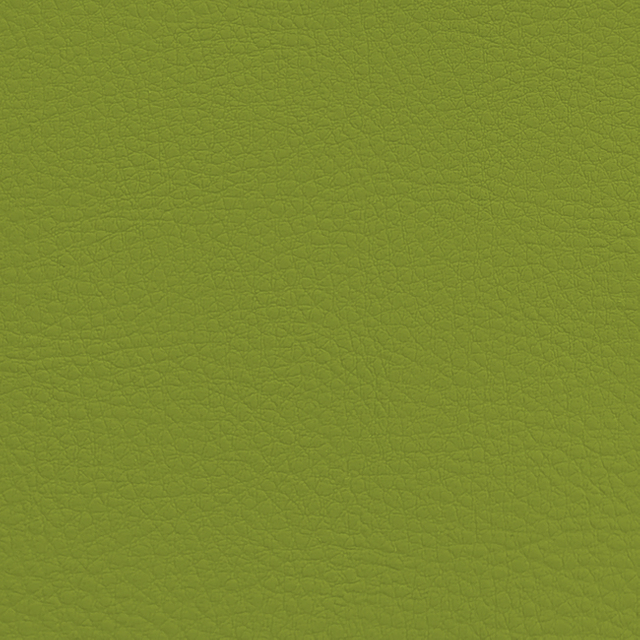 C909-08-11 Shiny Green