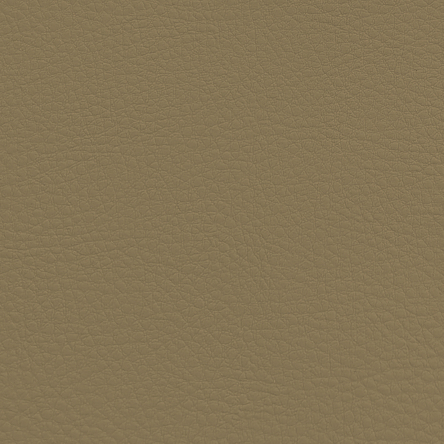 C909-04-11 Camel
