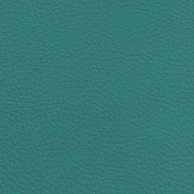 C909-06-11 Lake Blue
