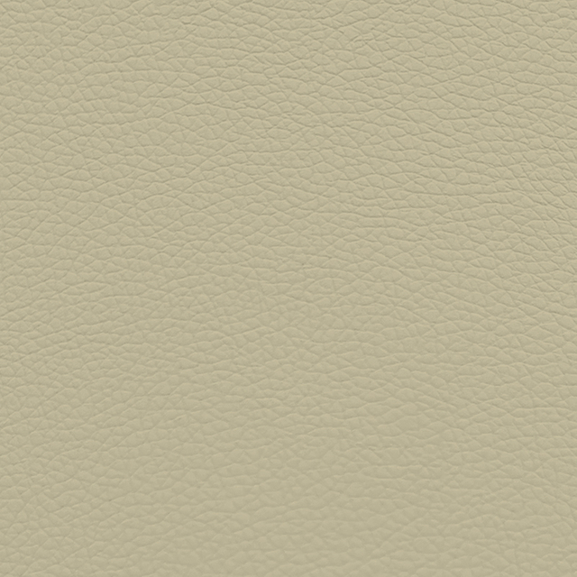 217-03-08 Beige
