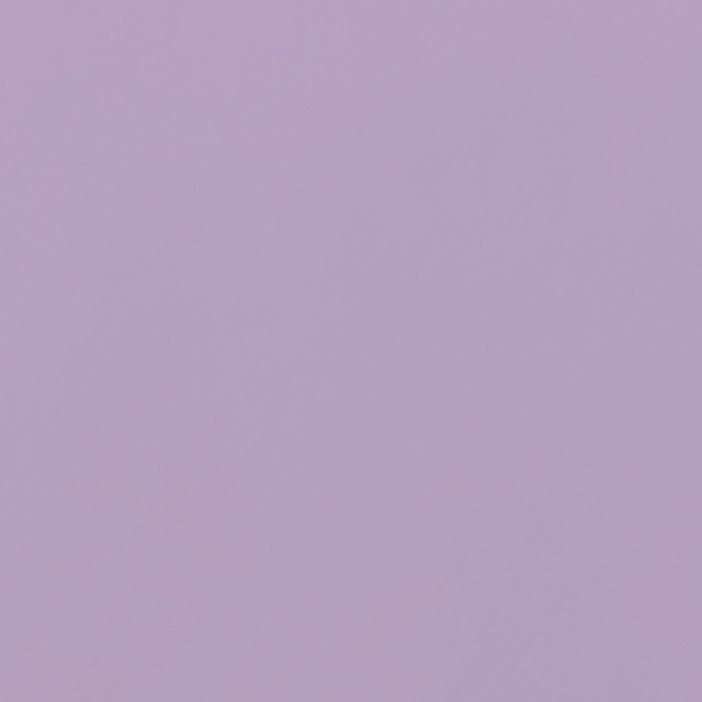 241-38 Winsome Orchid