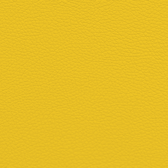 217-04-08 Yellow