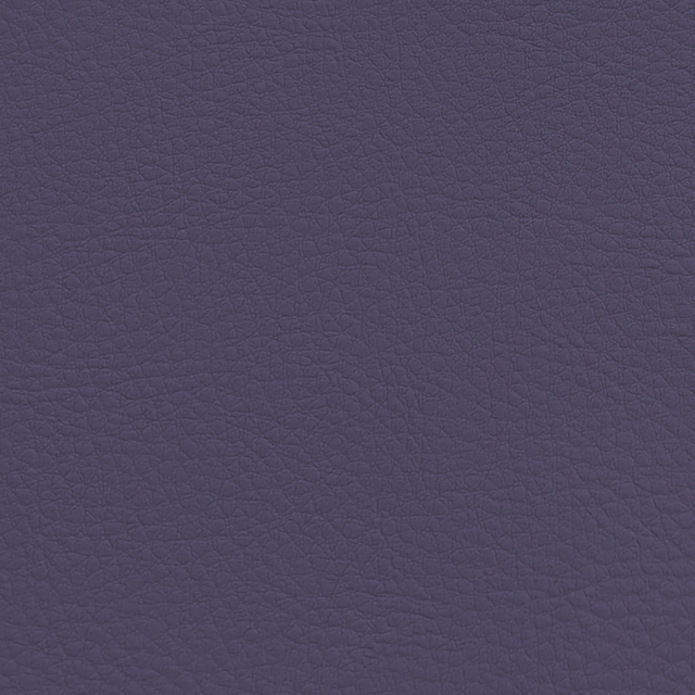 C909-12-11 Purple
