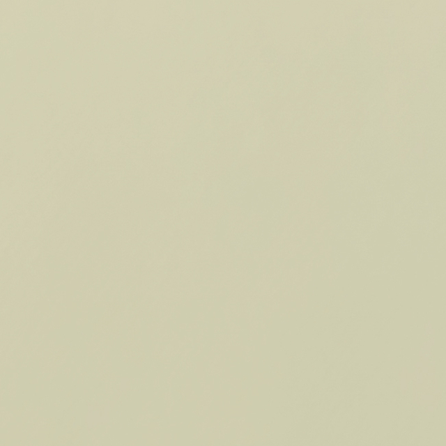 241-11 White