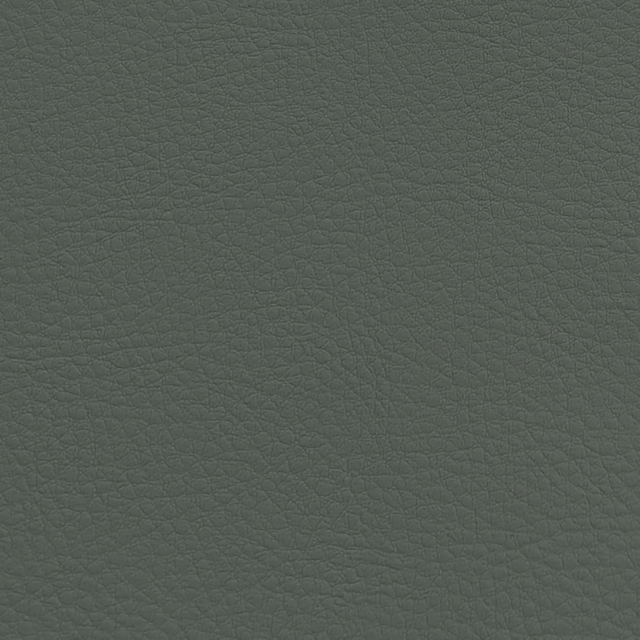 C909-02-11 Soft Gray