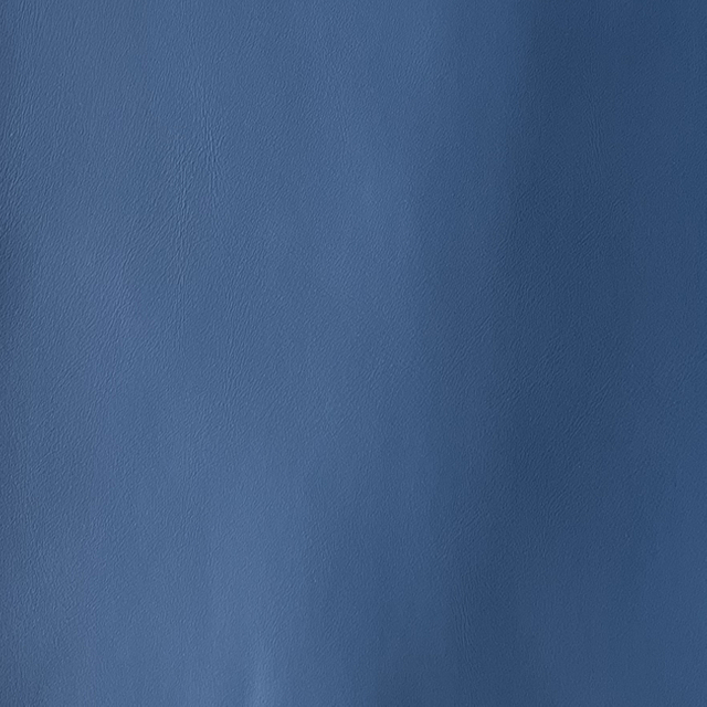 220-09-14 Bluesteel