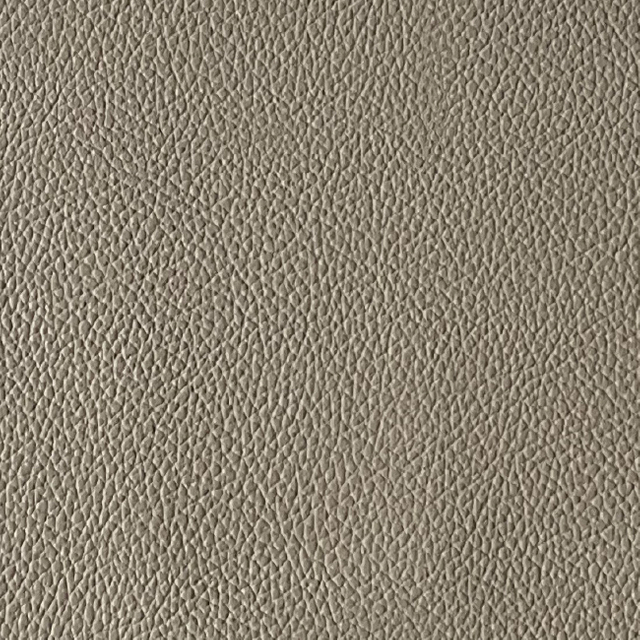 3115-04-11 Champignon
