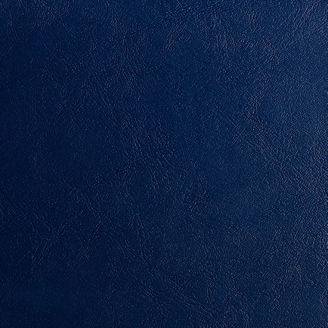 C721-09-10 Navy