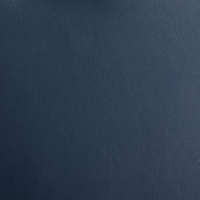38517-Legion-Blue
