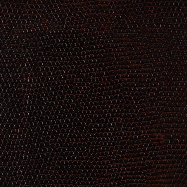 33501--Chocolate-Lab