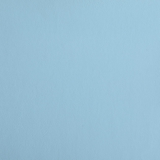C201-10 Sky Blue