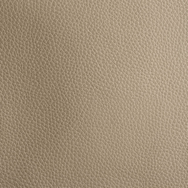 H368-19 Desert