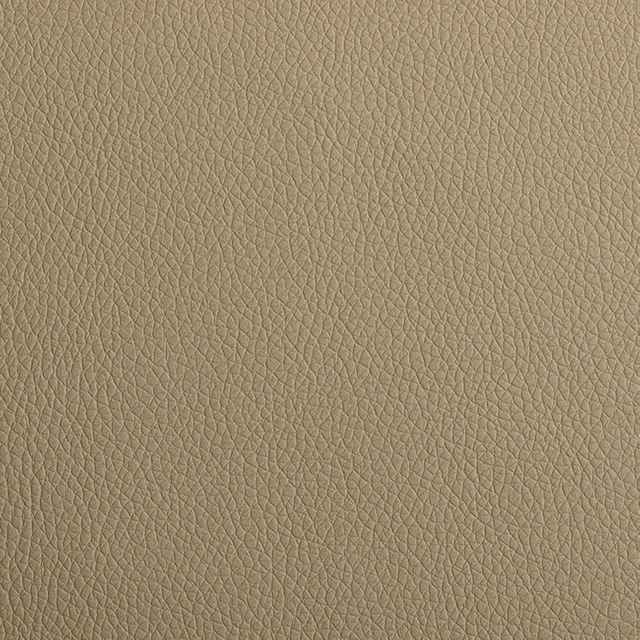 21-112-Safari