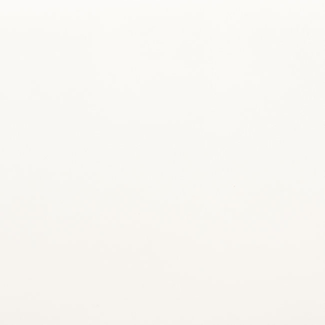 17501-wit