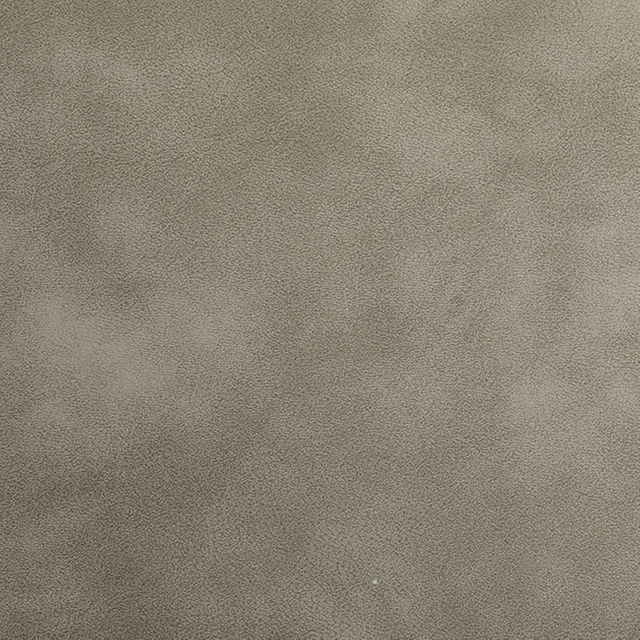 55504-Gray