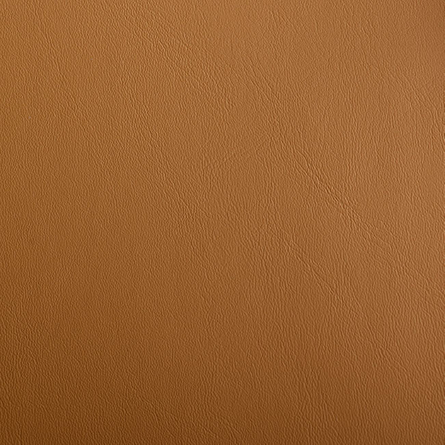 59545-Ginger