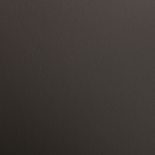 59531-Dorsal