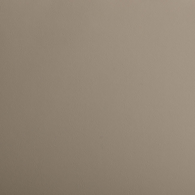 56807-Safari