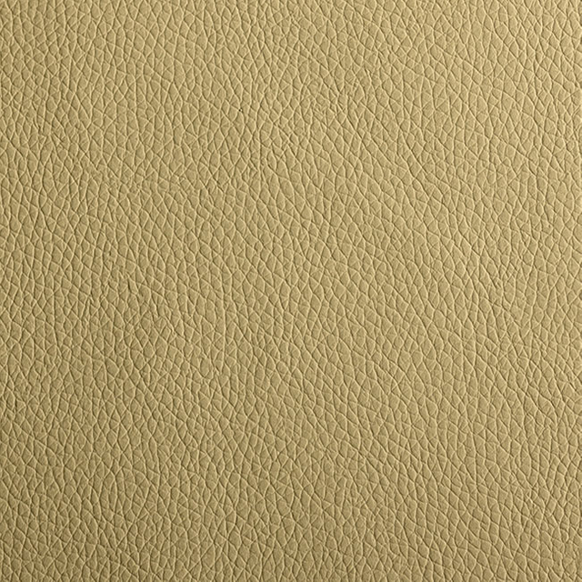 C209-03 Sandstone