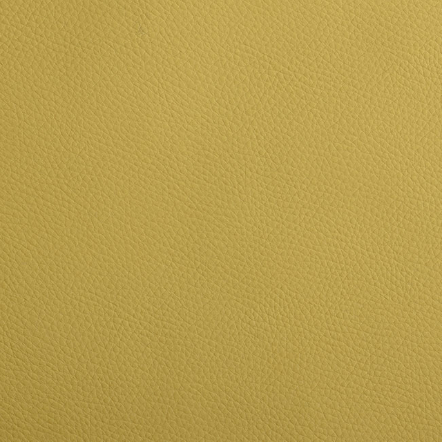 CS02-05 Lemon