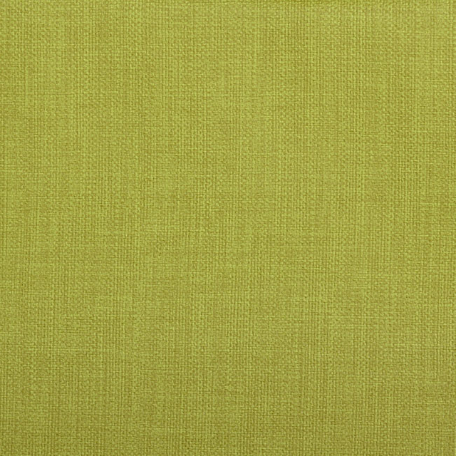 5503-Apple