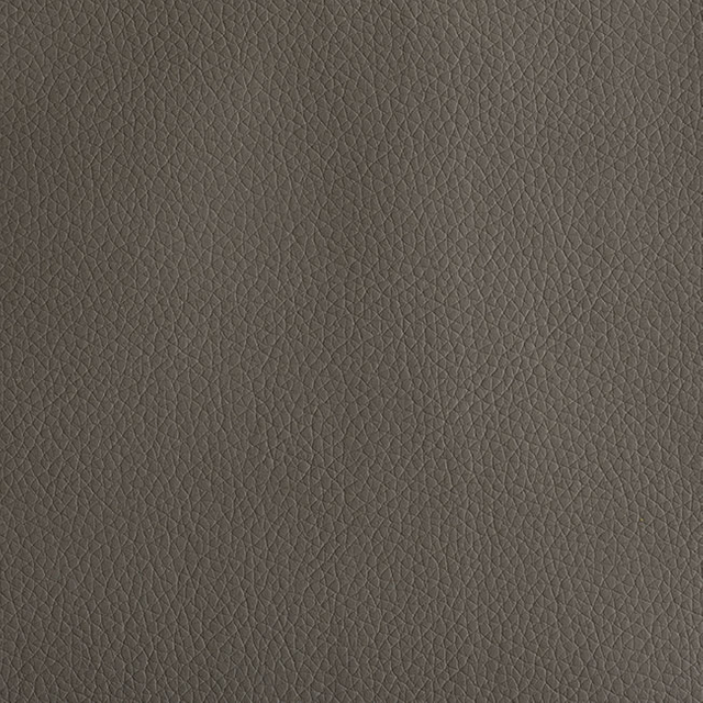 54909-Dark-Gary