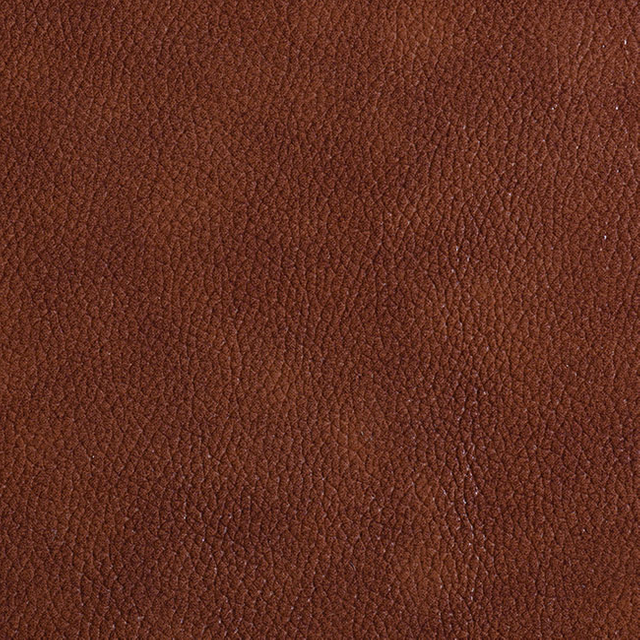 51009-Root-Beer