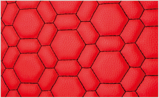 MS-2004 Red
