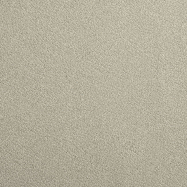 CS02-10 Beige