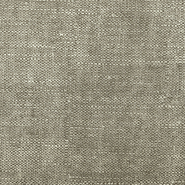 15302-Fossil