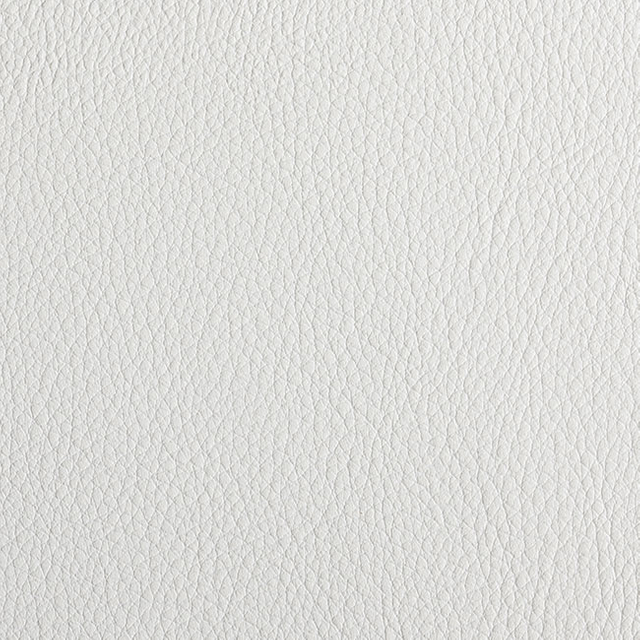 C208-61 Snow
