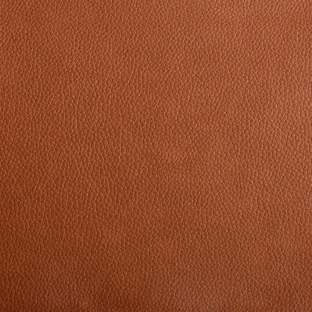55960-Sienna