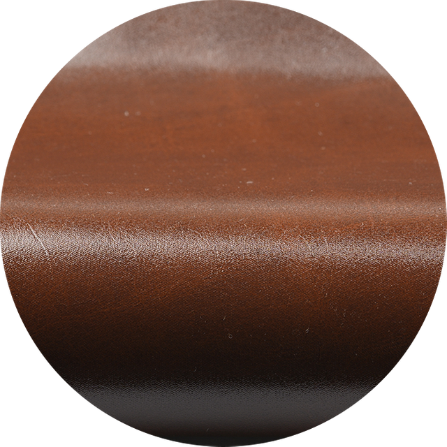 55707-Tortoise-Shell