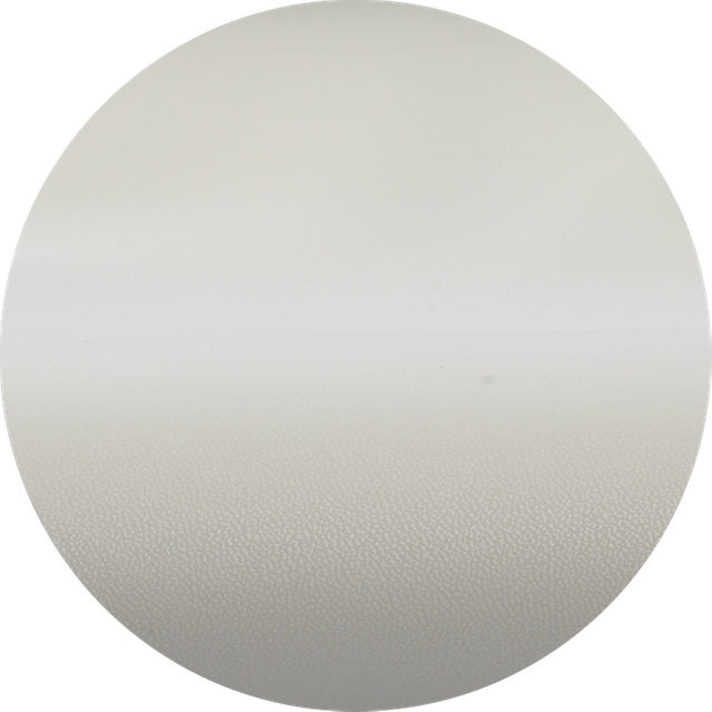 C206-01 Snow