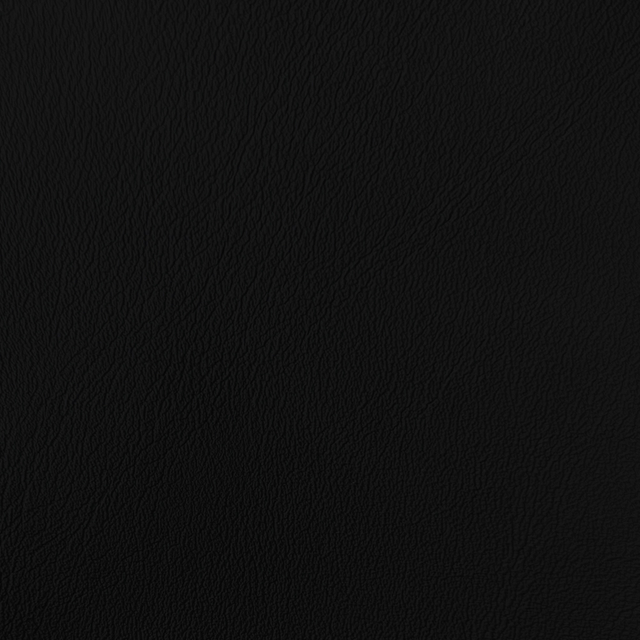 C225-01 Black