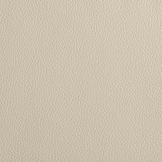 51003-Putty