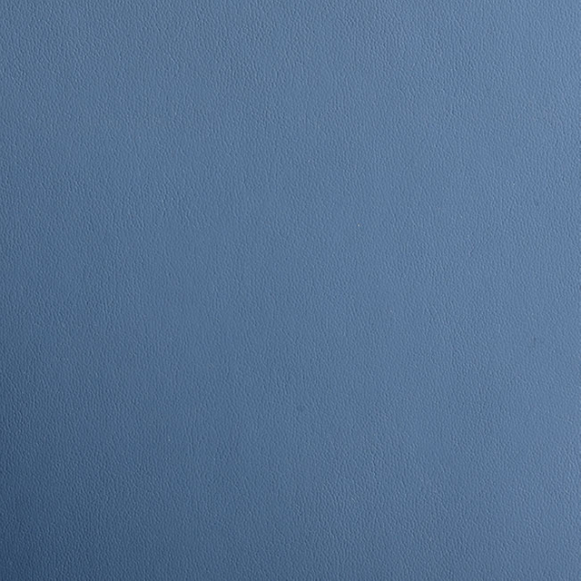 CS03-08 Ocean