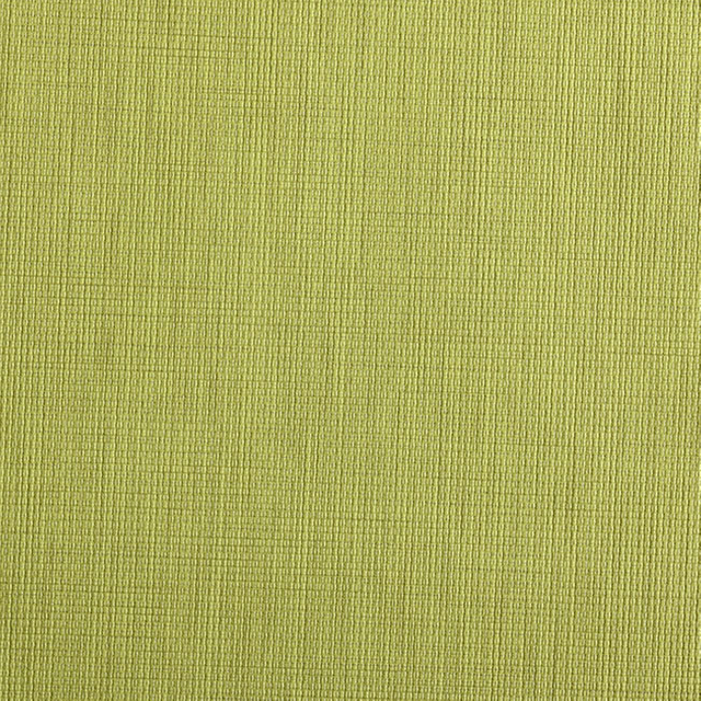 C210-07 Apple