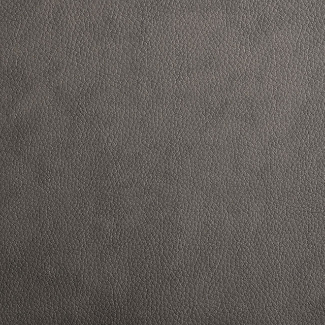 55964-Gray