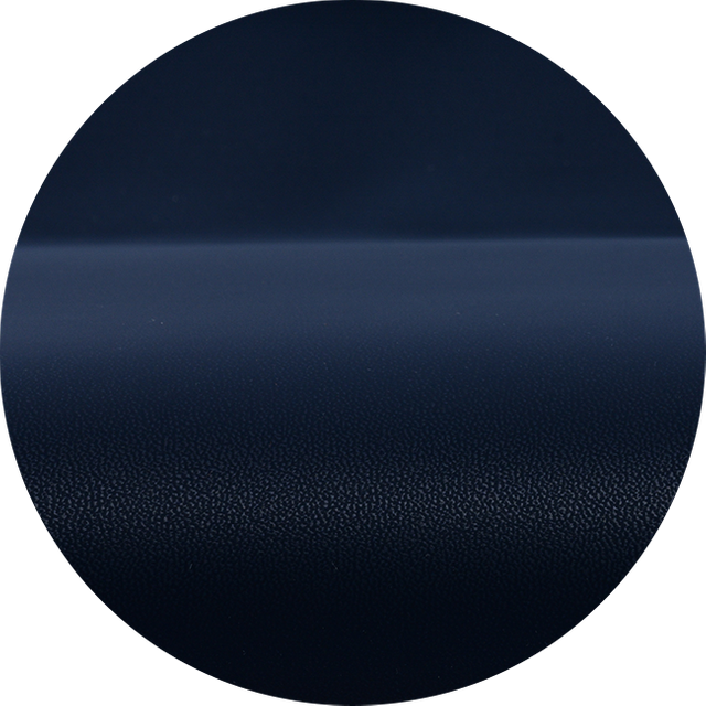 C206-29 Salute