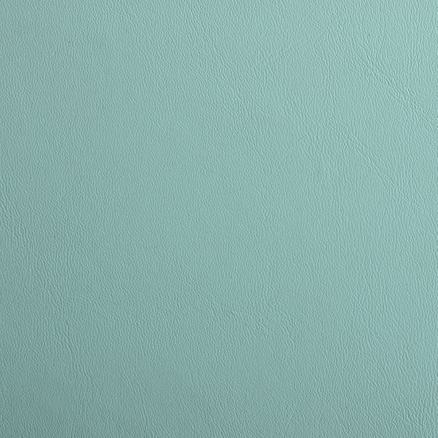 59524-Aqua