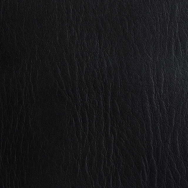 C711-01-10 Black