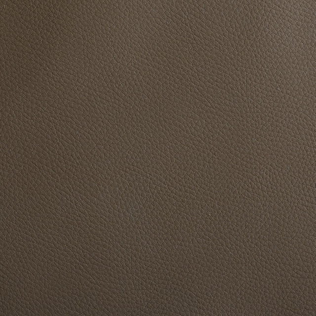 CS02-06 Brown