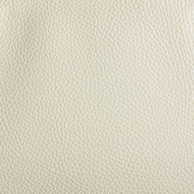 52904-snow