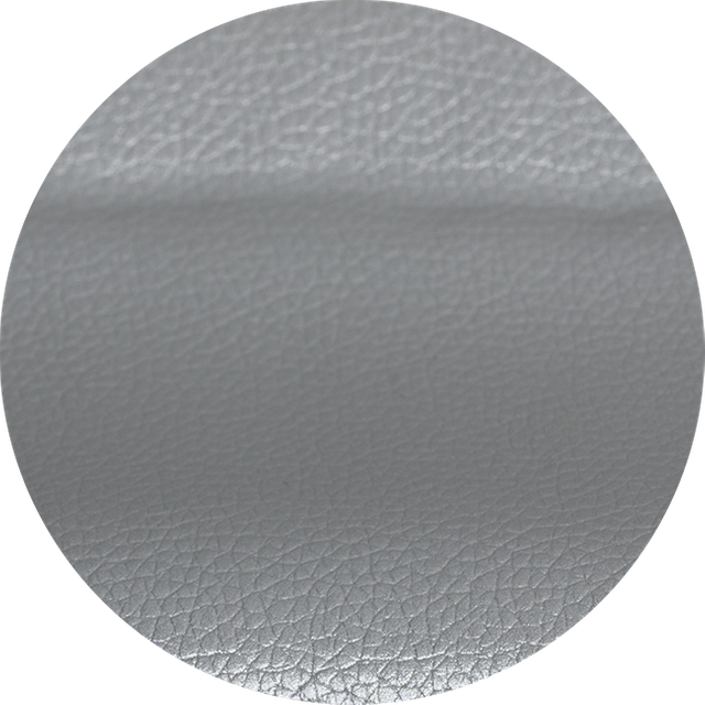 52505-Sliver