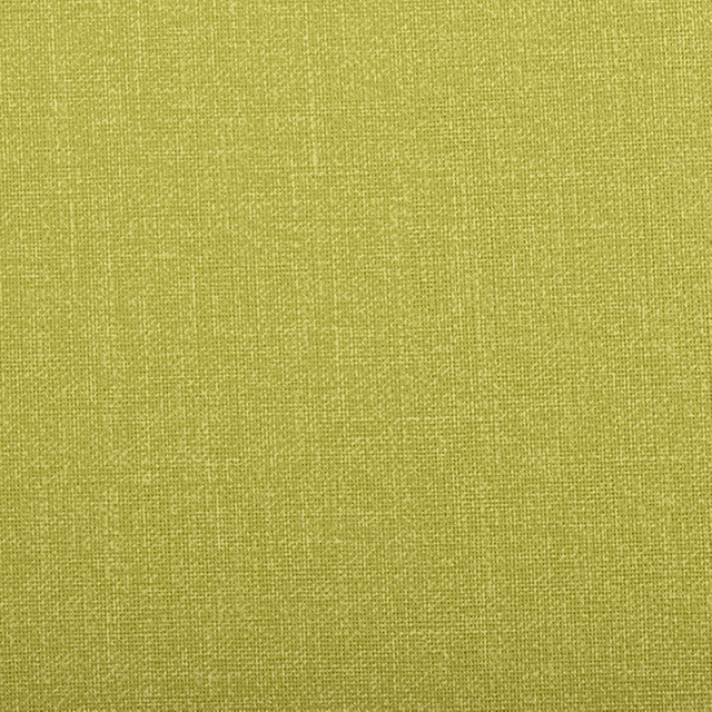 54704-Apple