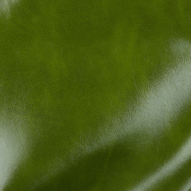 55607-Treetop