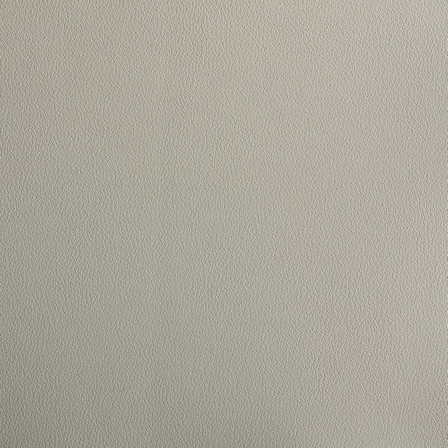 C207-11 Fog
